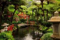 Tren Mandi Hutan Asal Jepang Ini Diklaim Mampu Jaga Kesehatan