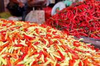 Makan Cabe Bikin Panjang Umur