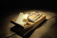 Penemuan Terbaru Soal Tikus Mol Bikin Ilmuwan Kaget