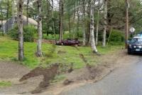 Ada Kadal di Dalam Bra, Wanita Ini Alami Kecelakaan