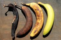 Kenali Gejala dan Penyebab Raja Singa yang Sering Diabaikan