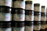 WHO: Pemerintah Tidak Boleh Larang Ganja!