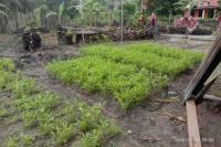 Petani Milenial Kotawaringin Barat Kembangkan Sistem Pertanian Terpadu