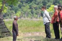 Food Estate Rotiklot, Harapan Baru Ketahanan Pangan Nasional Wilayah Timur