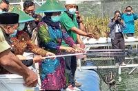 Hidroganik, Inovasi untuk Memenuhi Kebutuhan Pangan di Kabupaten Blitar