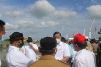 Menko Luhut Dorong Kolaborasi di Food Estate Libatkan Kementan, PUPR dan Peneliti