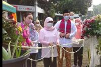 Pemprov DKI Luncurkan Urban Farming