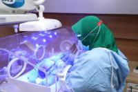 Induk Usaha DGNS, Bundamedik Bakal Lepas 7,26% Saham