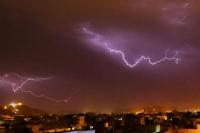 Studi Ungkap Ada Pohon yang Justru Tumbuh Lebih Kuat Setelah Disambar Petir