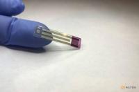 Gak Perlu Obat, Ini 5 Cara Alami Turunkan Gula Darah Tinggi