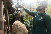 Kurban Online Dorong Peningkatan Omzet Peternak Mustahik