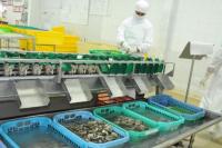 Ikan Gratis hingga Pasar Ikan Meriahkan Harkannas 2023