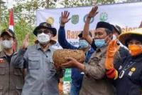 Ini Syarat Agar Bisa Jadikan Porang Primadona Ekspor