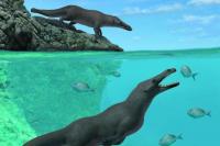 Fosil Paus Berkaki Empat yang Sebelumnya Tidak Diketahui Ditemukan di Mesir