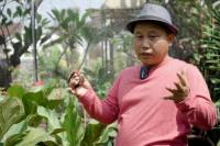 Peran Media Sosial dalam Mendukung Usahatani