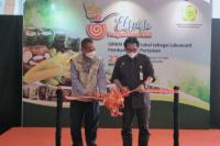 Promosikan Diversifikasi Pangan, Kementan Gelar Ekspose UMKM Pangan Lokal 2021
