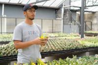 Lahirnya Petani Milenial Jadi Energi Baru Pembangunan Pertanian Nasional