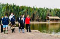 Diajak Presiden Jokowi Menanam Mangrove di Kaltara, Begini Kesan Para Dubes