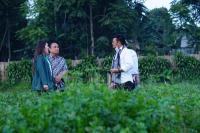 Mentan Minta Petani Milenial Perbanyak Komoditas Pertanian Bernilai Tambah