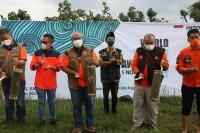 Peringati Tsunami, BNPB Tanam Pohon di Kawasan Pantai