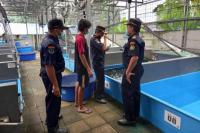 KKP Tindak Tegas Praktik Impor Perikanan Di Luar Ketentuan