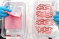 Mahasiswa Inggris Ciptakan Nampan Daging Daur Ulang