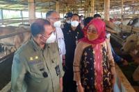 Dongkrak Nilai Produksi, Kementan Ajak Peternak Kembangkan Korporasi