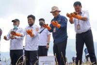 Produktivitas Panen Perdana Kentang Food Estate Wonosobo di Luar Dugaan 
