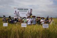 Kementan Kawal Panen Raya dari Kegiatan Demfarm di Banyuasin