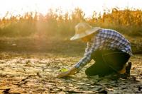 Gelombang Panas Ekstrem, Prediksi Cuaca Akurat Bisa Selamatkan Ribuan Nyawa