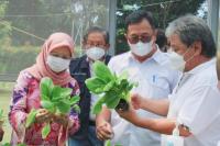 Kementan Ajak Masyarakat Terapkan Urban Farming di Lahan Perumahan 