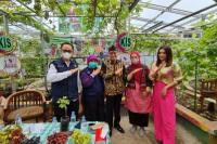 Bisa Jadi Ladang Cuan, Pemkot Jakarta Timur Galakkan Urban Farming