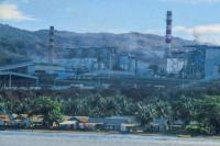 AEER: Industri Perlu Beralih dari Batubara ke Energi Terbarukan