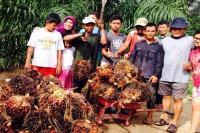 Besok Petani Sawit Demo, Protes Larangan Ekspor CPO