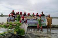 Kementan Dorong Pemanfataan Transplanter untuk Tingkatkan Produksi