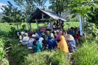 Kementan Genjot Produktivitas Komoditas Jagung