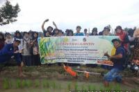Tingkatkan Produksi, Kementan Ajak Petani Manfaatkan Alsintan
