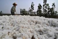 PBB Prihatin Situasi HAM di Provinsi Xinjiang China