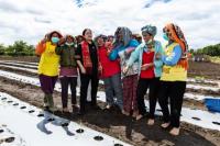 Ibu-Ibu Minta Susu ke Puan Maharani Saat Tanam Cabai di Humbang Hasundutan