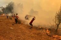 Studi: Kebakaran Hutan Mempercepat Pencairan Salju-Menguras Pasokan Air