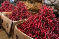 Mantap! Produksi Aneka Cabai Melimpah di Sleman