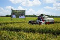 Meski di Era Krisis, Sektor Pertanian Tahun 2022 Tumbuh 2,25 Persen