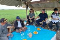 Cirebon Konsisten Pasok Bawang Merah ke Jakarta