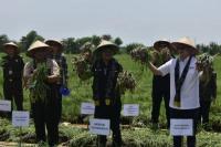 Kementan dan Kemendag Sinergi Amankan Stok dan Harga Bawang Merah