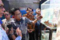 Gus Halim Optimis Ikan Mas Koki Tulungagung Mendunia