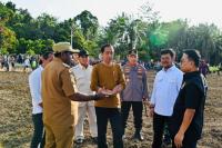 Jokowi Kick Off Food Estate 10 Ribu Hektare Lahan Jagung di Papua