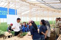 TSS dan Soil Block Seedling, Strategi Amankan Ketersediaan Bawang Merah Nasional