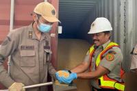 Karantina Pertanian Pastikan Kelancaran Lalu Lintas Pangan di Pelabuhan Tanjung Priok 