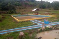 Menteri PU Dorong Swasembada Pangan Melalui Rehabilitasi Irigasi di Jatim