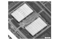 AS Tuding Iran Bantu Rusia Bangun Pabrik Drone untuk Perang di Ukraina